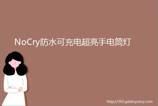 NoCry防水可充电超亮手电筒灯