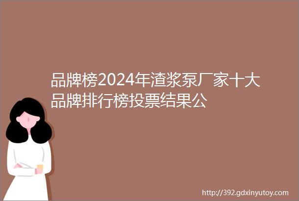 品牌榜2024年渣浆泵厂家十大品牌排行榜投票结果公