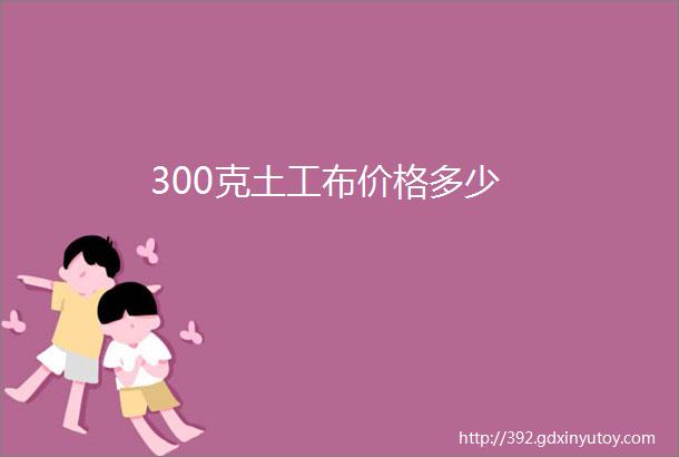 300克土工布价格多少