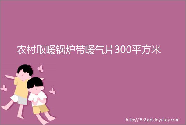 农村取暖锅炉带暖气片300平方米