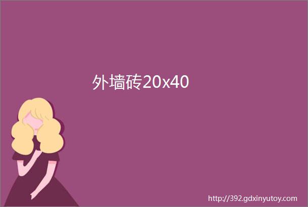 外墙砖20x40