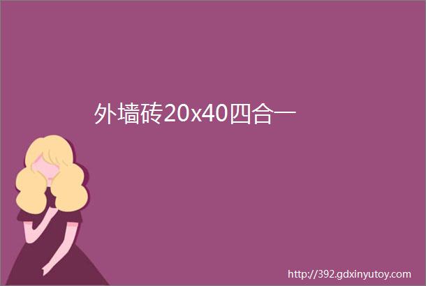 外墙砖20x40四合一