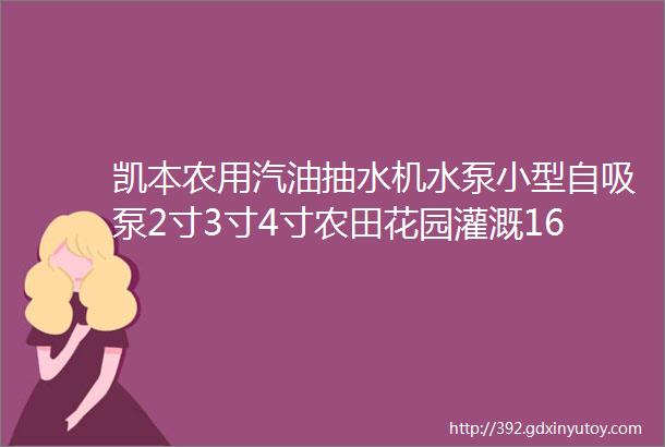 凯本农用汽油抽水机水泵小型自吸泵2寸3寸4寸农田花园灌溉165匹2寸抽水泵