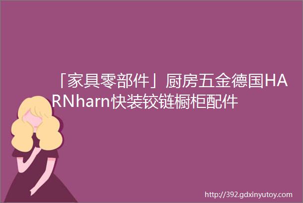 「家具零部件」厨房五金德国HARNharn快装铰链橱柜配件