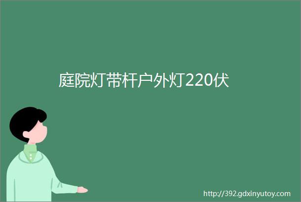 庭院灯带杆户外灯220伏