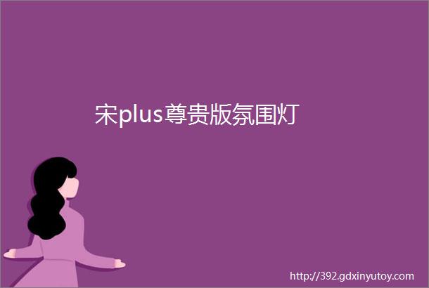 宋plus尊贵版氛围灯