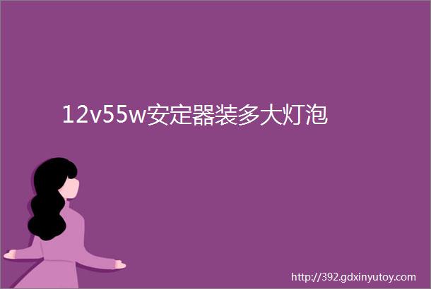 12v55w安定器装多大灯泡