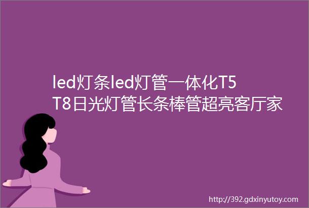 led灯条led灯管一体化T5T8日光灯管长条棒管超亮客厅家用节能光管