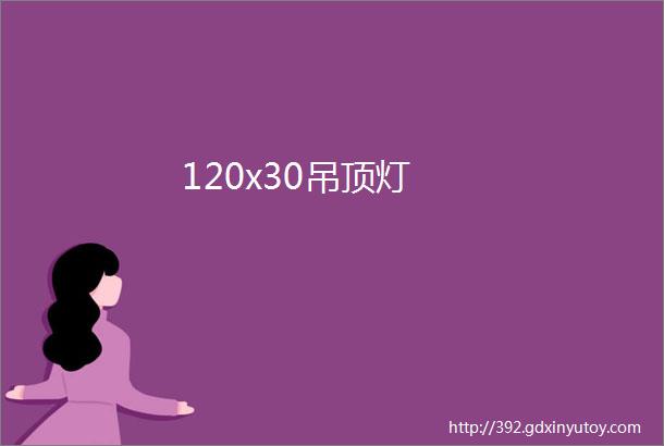 120x30吊顶灯