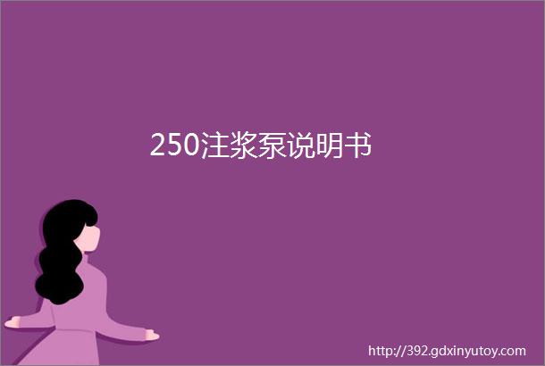 250注浆泵说明书