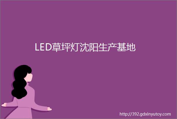 LED草坪灯沈阳生产基地