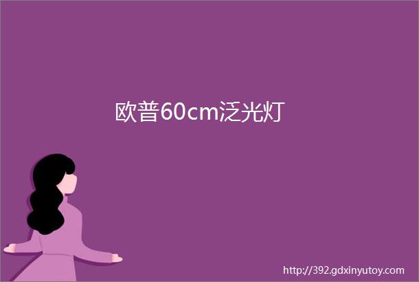 欧普60cm泛光灯