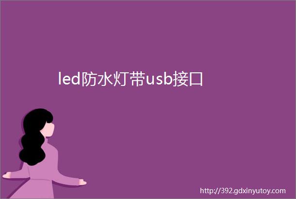 led防水灯带usb接口