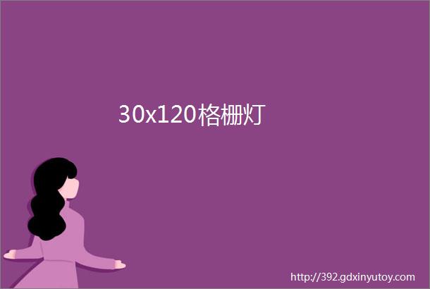 30x120格栅灯