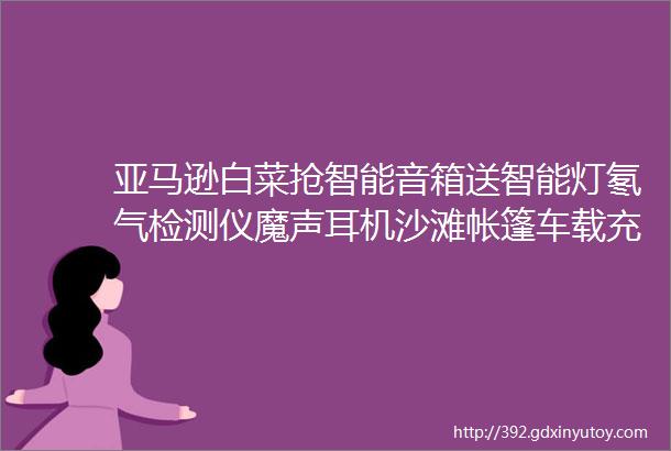 亚马逊白菜抢智能音箱送智能灯氡气检测仪魔声耳机沙滩帐篷车载充气泵