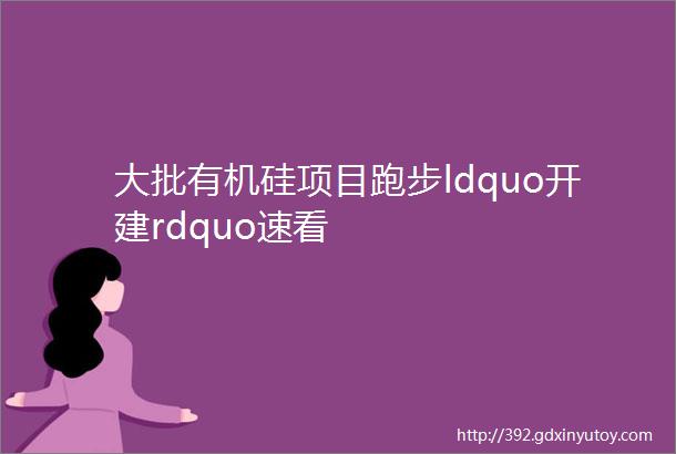 大批有机硅项目跑步ldquo开建rdquo速看