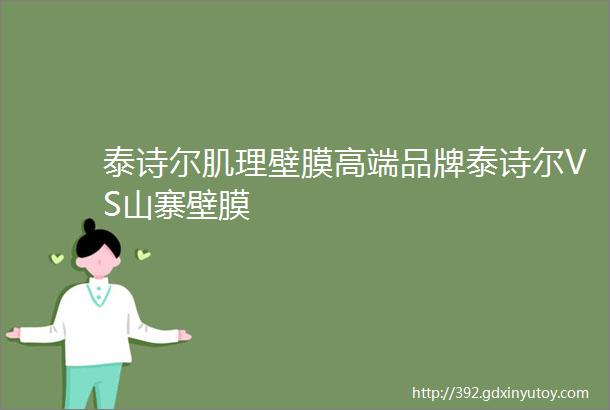 泰诗尔肌理壁膜高端品牌泰诗尔VS山寨壁膜