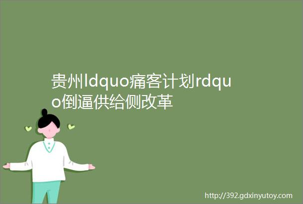 贵州ldquo痛客计划rdquo倒逼供给侧改革