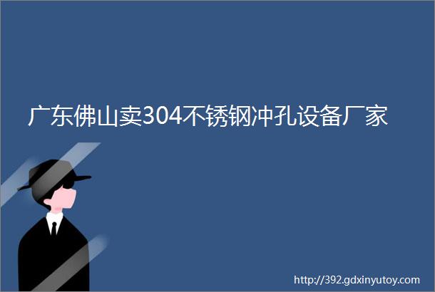 广东佛山卖304不锈钢冲孔设备厂家