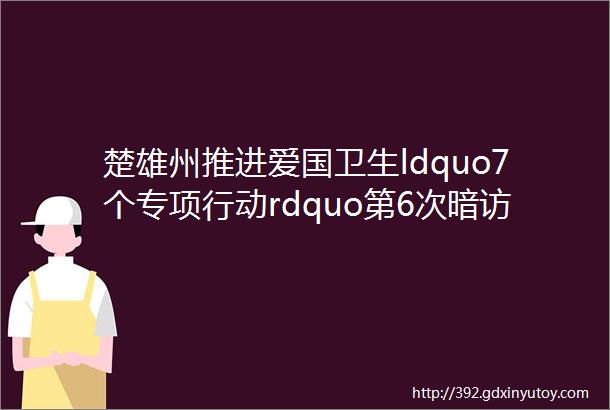 楚雄州推进爱国卫生ldquo7个专项行动rdquo第6次暗访情况通报