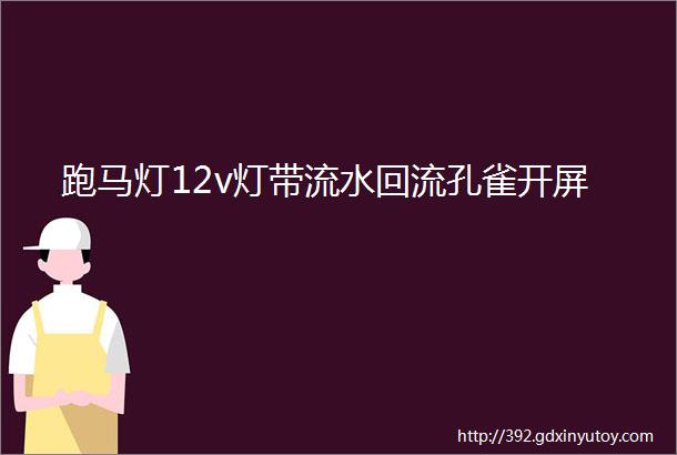 跑马灯12v灯带流水回流孔雀开屏