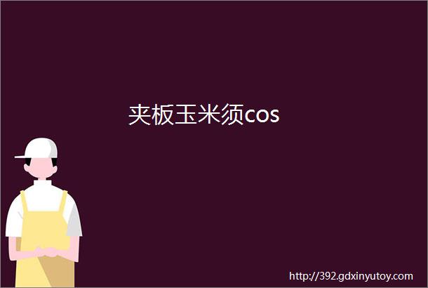 夹板玉米须cos