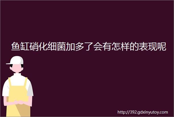 鱼缸硝化细菌加多了会有怎样的表现呢