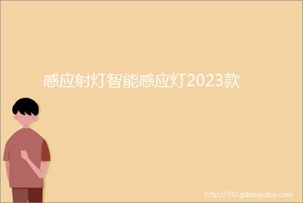 感应射灯智能感应灯2023款