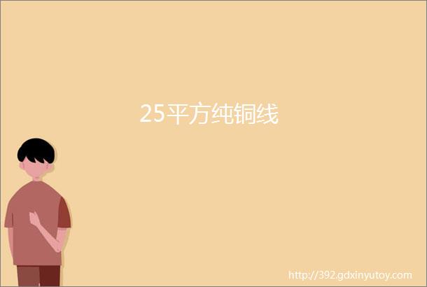 25平方纯铜线