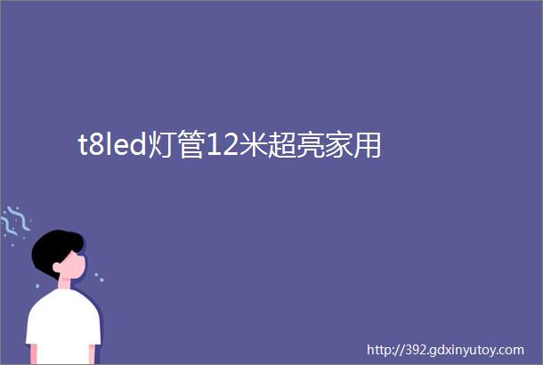 t8led灯管12米超亮家用