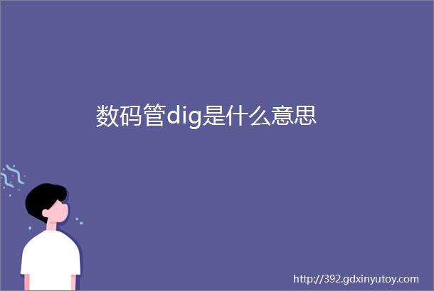 数码管dig是什么意思