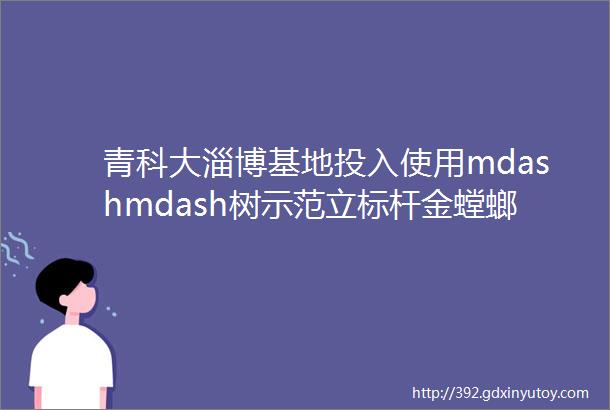 青科大淄博基地投入使用mdashmdash树示范立标杆金螳螂幕墙克服挑战出色完成任务