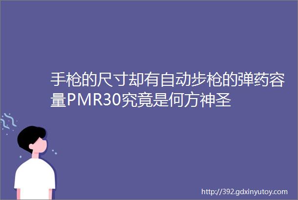 手枪的尺寸却有自动步枪的弹药容量PMR30究竟是何方神圣