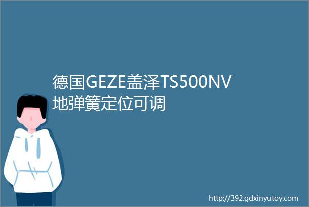 德国GEZE盖泽TS500NV地弹簧定位可调