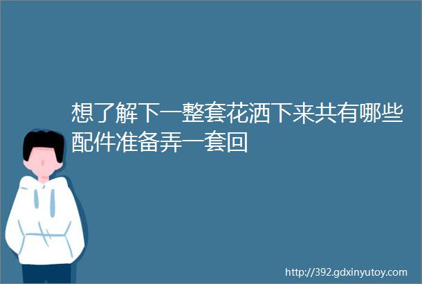 想了解下一整套花洒下来共有哪些配件准备弄一套回