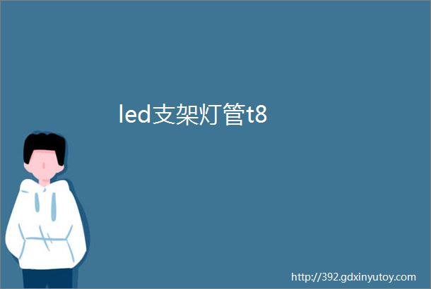 led支架灯管t8