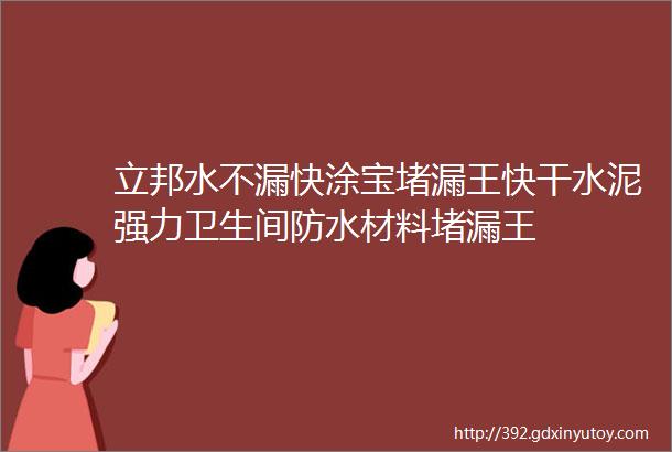 立邦水不漏快涂宝堵漏王快干水泥强力卫生间防水材料堵漏王