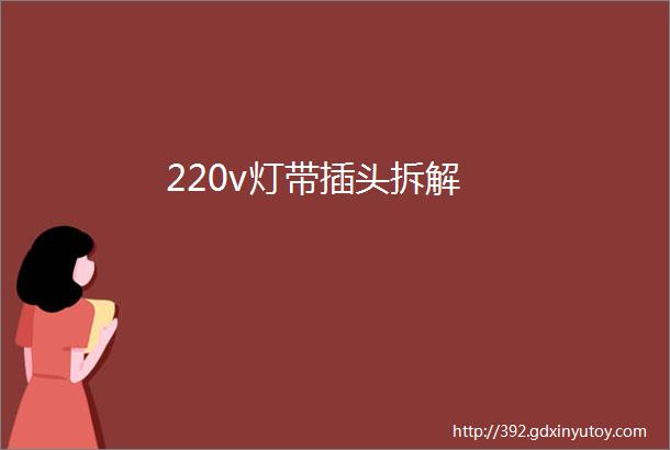 220v灯带插头拆解