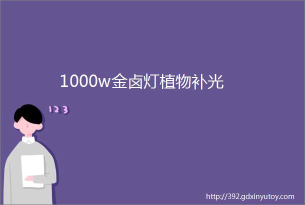 1000w金卤灯植物补光