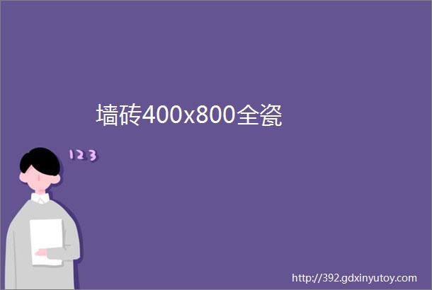 墙砖400x800全瓷