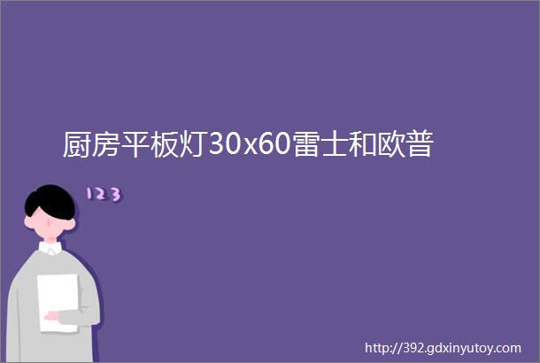 厨房平板灯30x60雷士和欧普