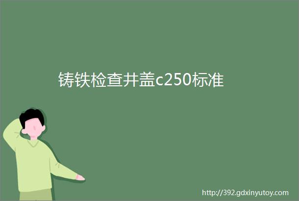 铸铁检查井盖c250标准