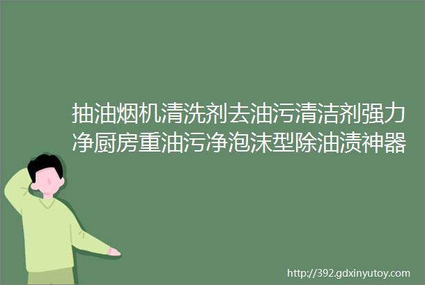 抽油烟机清洗剂去油污清洁剂强力净厨房重油污净泡沫型除油渍神器