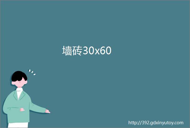 墙砖30x60